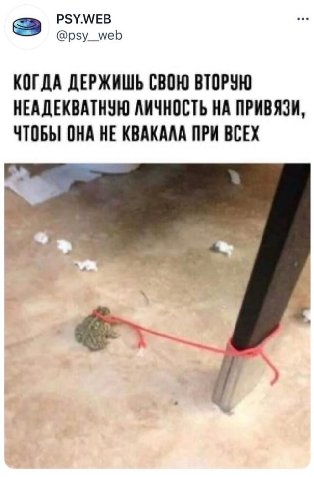 Картинки из недр интернета