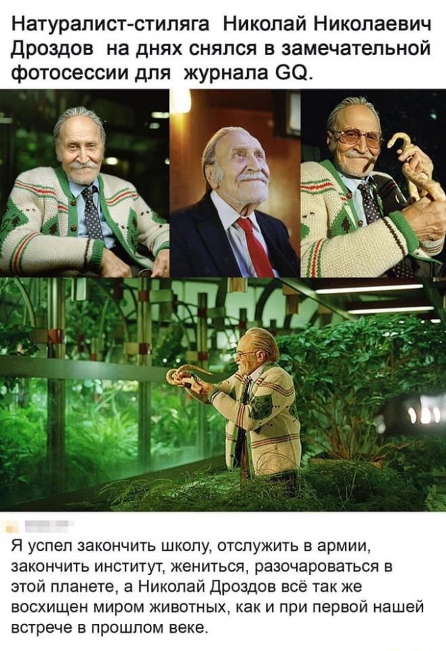 Бредзона 24.12.20