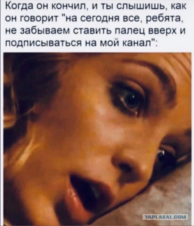 Весёлый полтишок 25.03