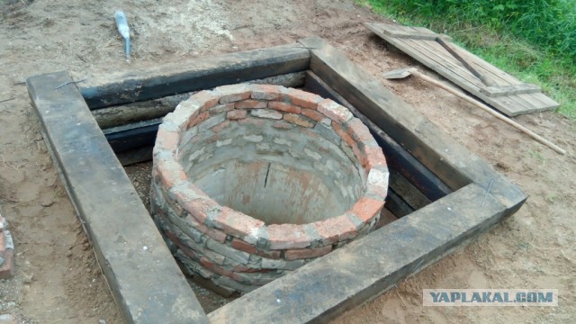 Психанул. Дачный сортир «king size»