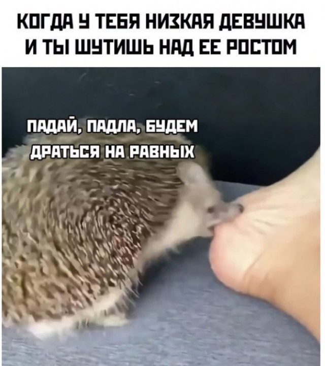 Баянисто-небаянистый юмор 23.08.21