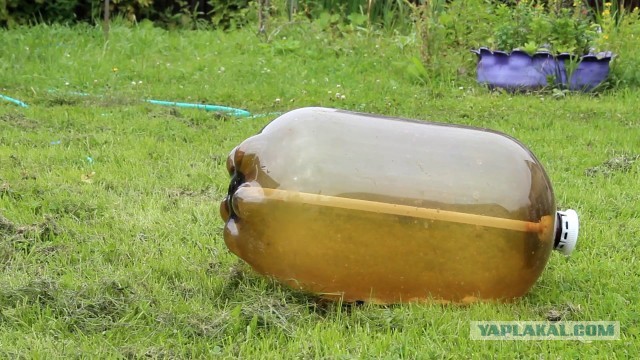 Так себе картинки 07.05.22