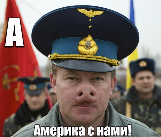 "Бородавочник"  А-10 может оказаться в Украине