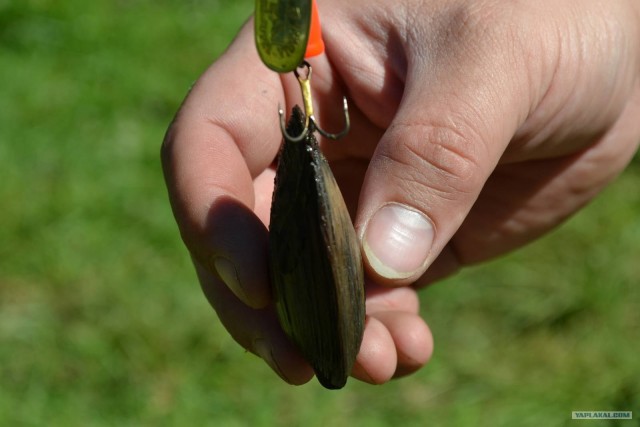 Отдых по-русски.