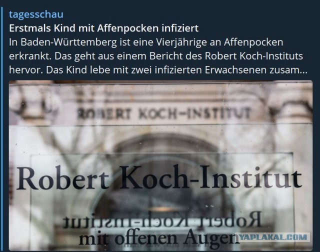 Пандемия съехавших крыш - разновидности болезни. Россия и мир. Часть 39.