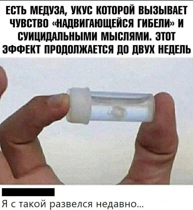 50 оттенков серого если самосвал баянов.  Vol.23