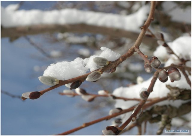 Крым. Терновка. Зимние дороги.