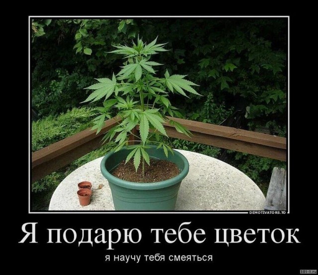 Юмор в картинках и без