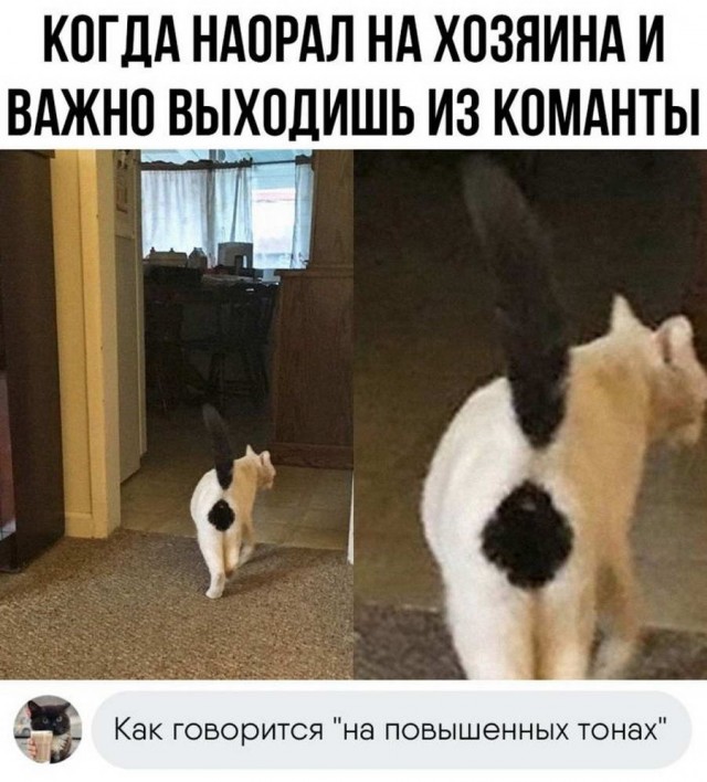 Картинки и мемы, всем хороших выходных