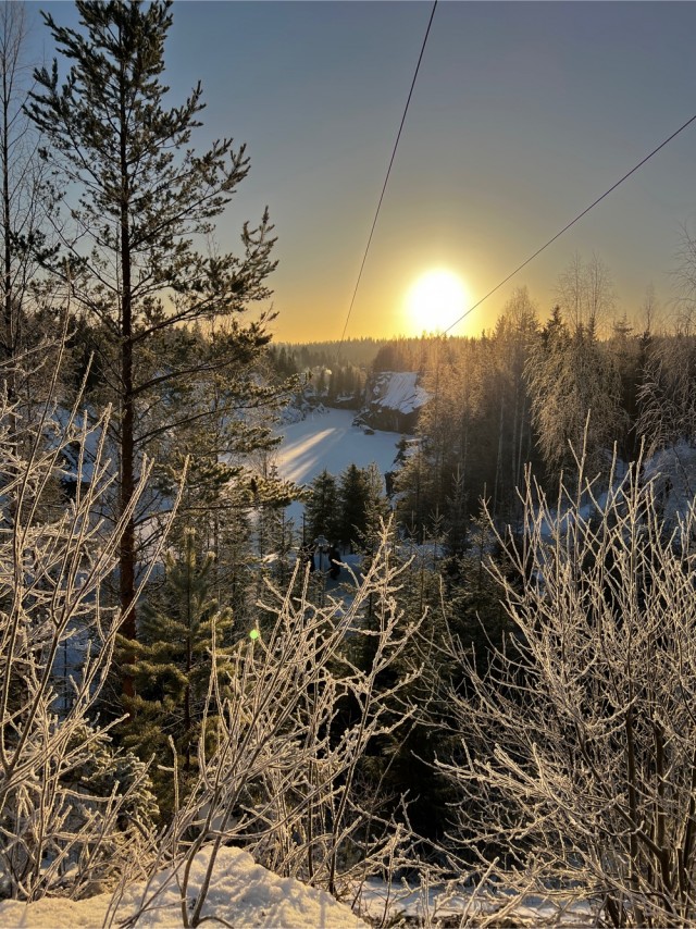 Моя мобильная фотография