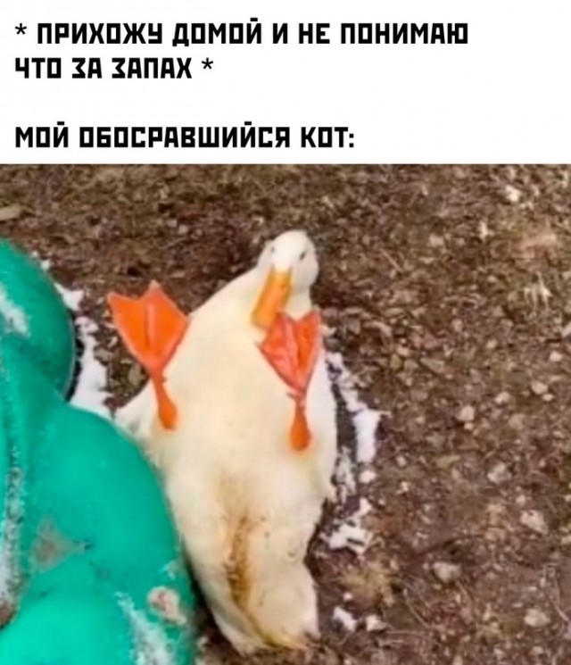 Немного картинок для настроения - 165
