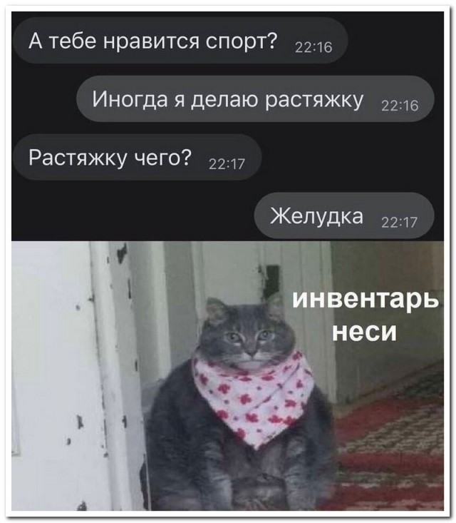 Весёлый полтишок 18.04.23