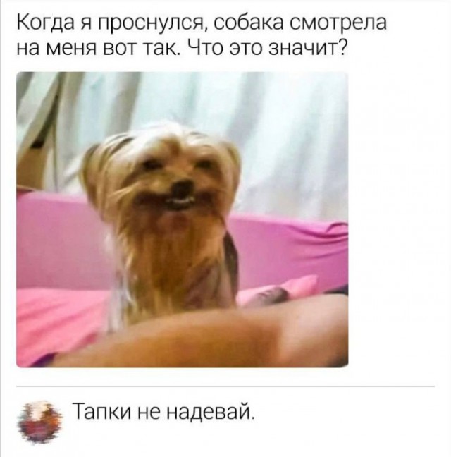 Всего понемногу. От 12.08