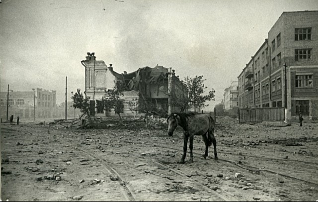 Подборка фотографий Великой Отечественной войны. Часть 2