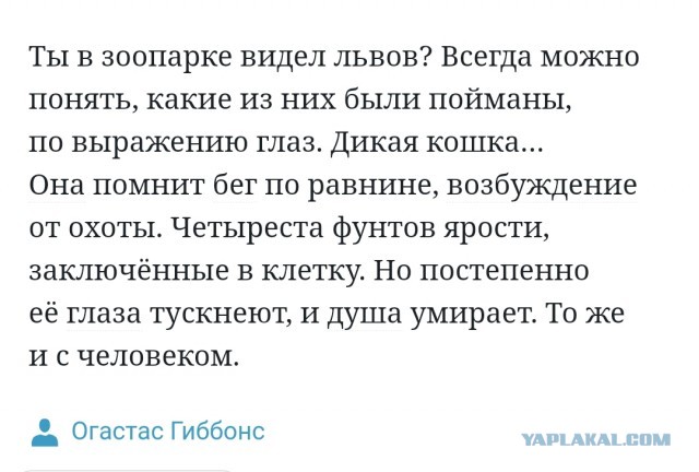 Враги в одной клетке