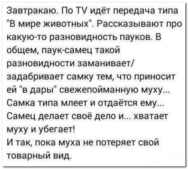 Забавные комментарии из социальных сетей (30.10.23)