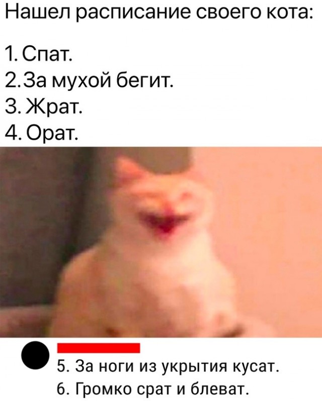 Так себе картинки 02.11.23