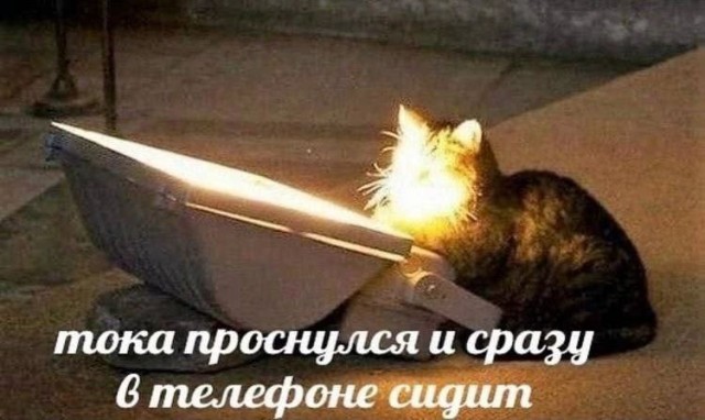 Всего понемногу. От 30.11.23