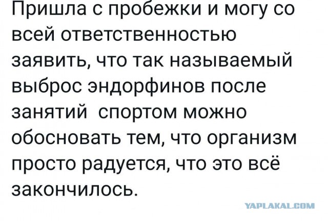 Одесский юмор для настроения - 3
