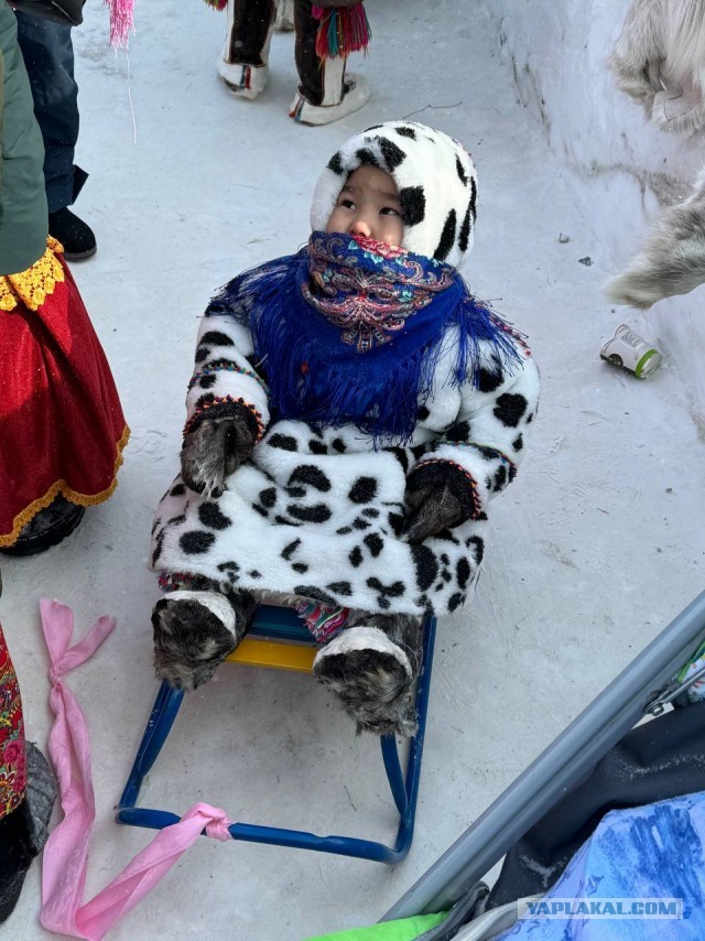 Покажу свой Чум