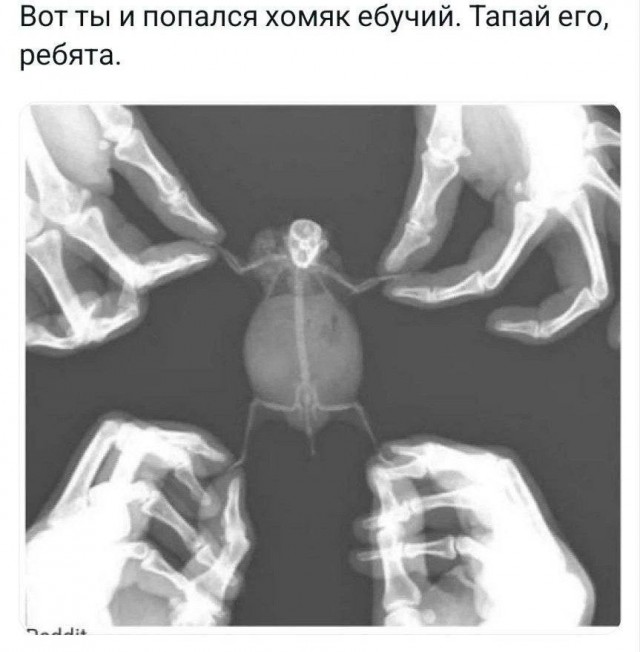 Всего понемногу. От 21.06.2024