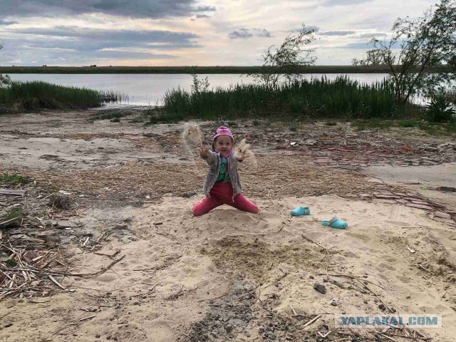 Дача, рукоделие, стройка
