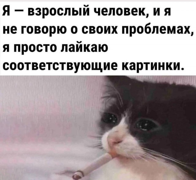 Маленькая пятница 12.02.25