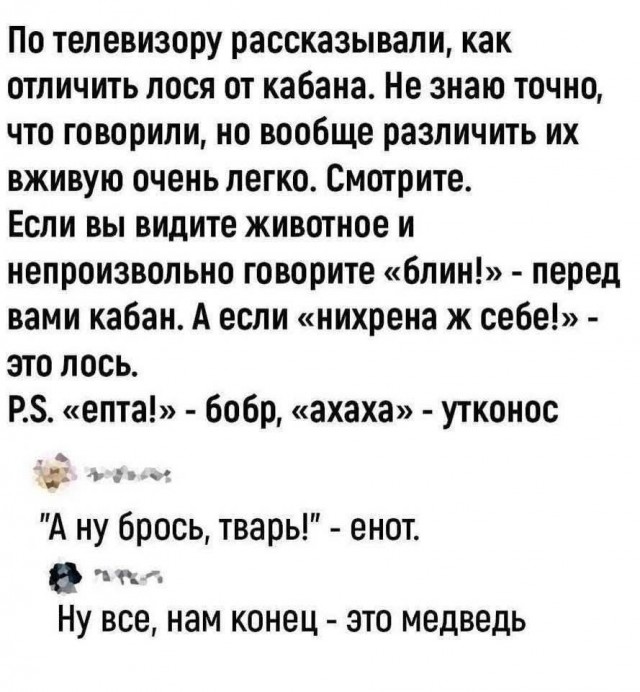 Маленькая пятница 26.03.25
