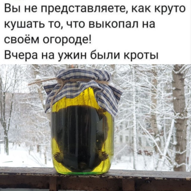 Картинки для деградации 8 ( разной степени свежести)