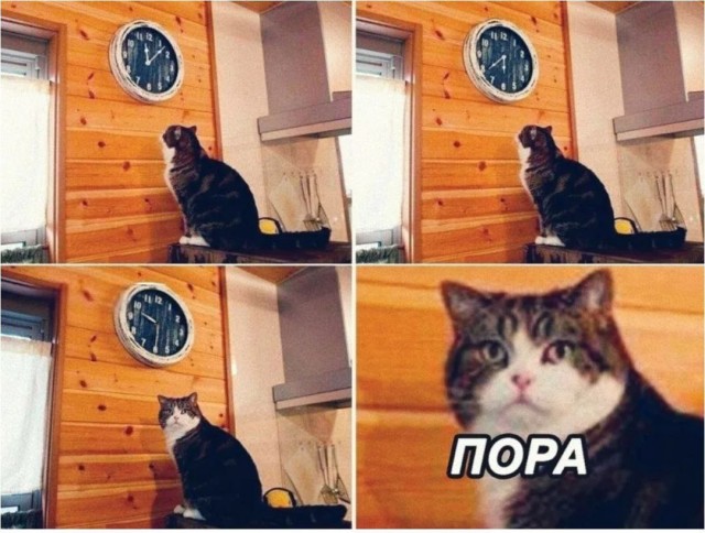 День опозданий отмечается сегодня