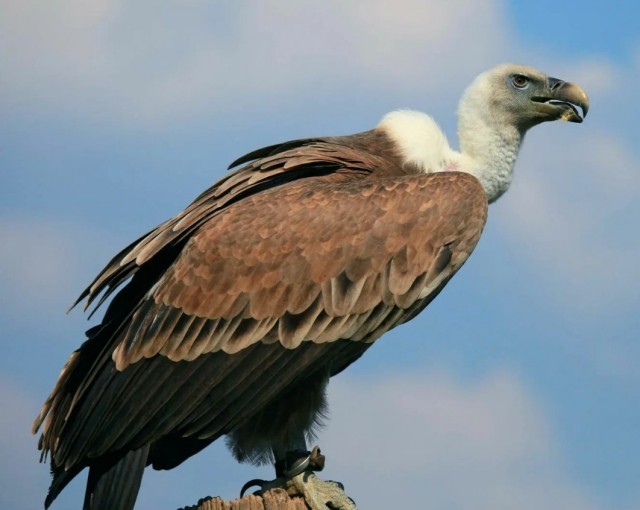 Интересно, о чем она думала?