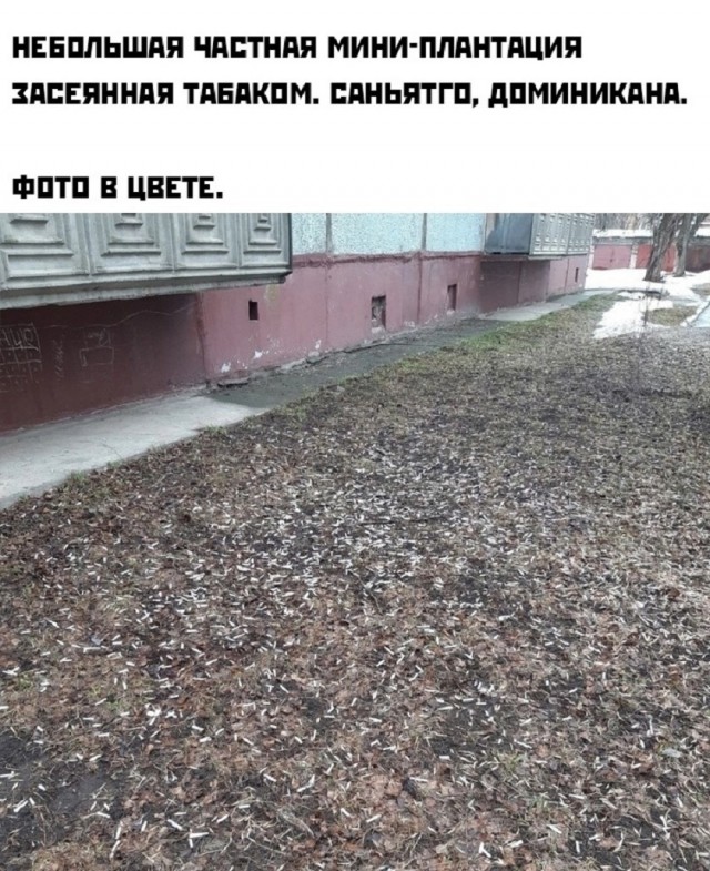 Так себе картинки 05.12.25