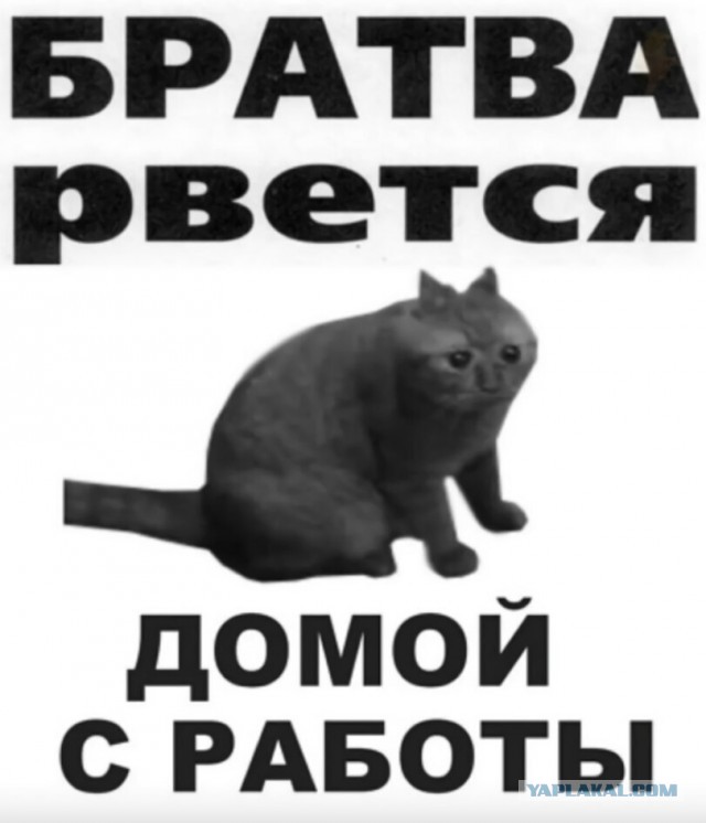 Картиночки, баянчики 30 января