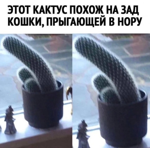 Картинки для деградации 150 (разной степени свежести)