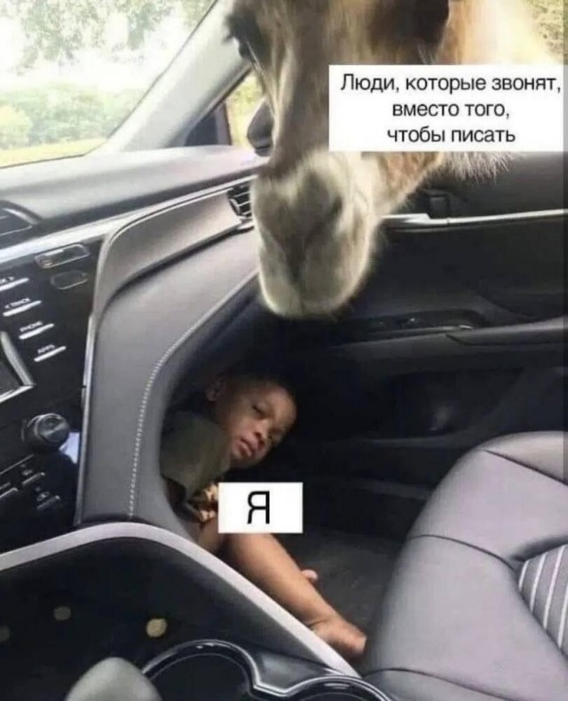 Так себе картинки 15.06.26