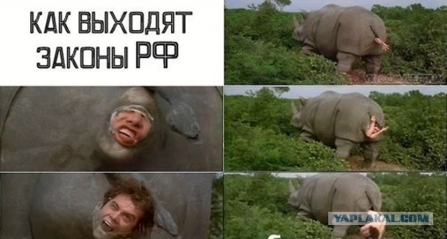 Мизулина запрещает мат