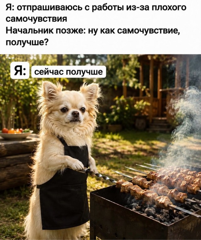 Веселое настроение в картинках 17.08.26