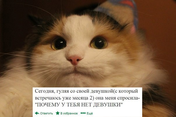 "Где я свернул не туда?"
