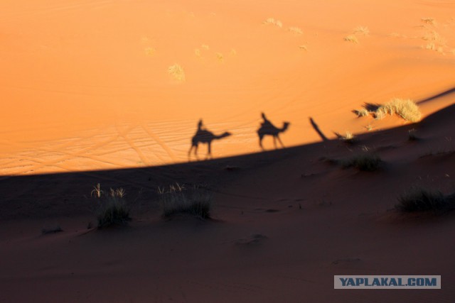 Новогодняя ночь в пустыне Сахара
