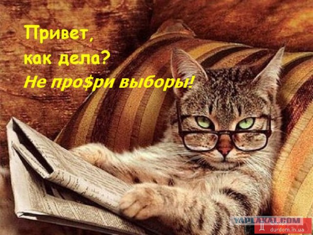 Новый Майдан!