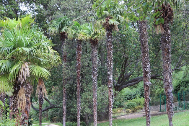 Отчёт о поездке в Крым 12.07 - 29.07