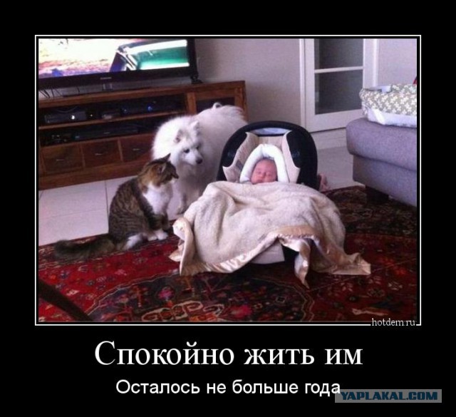 Пришли из роддома - Васька очень ждал нас!