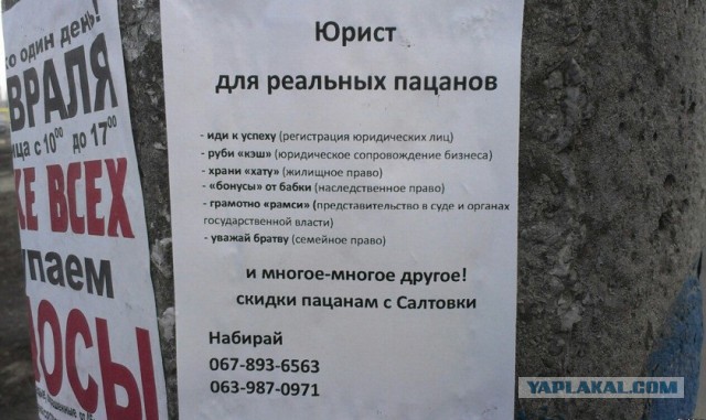 Демотиваторы вторника