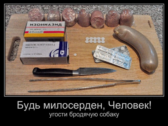 Лютой ненависти псот-обращение