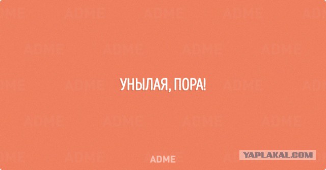 Картинки из интернета