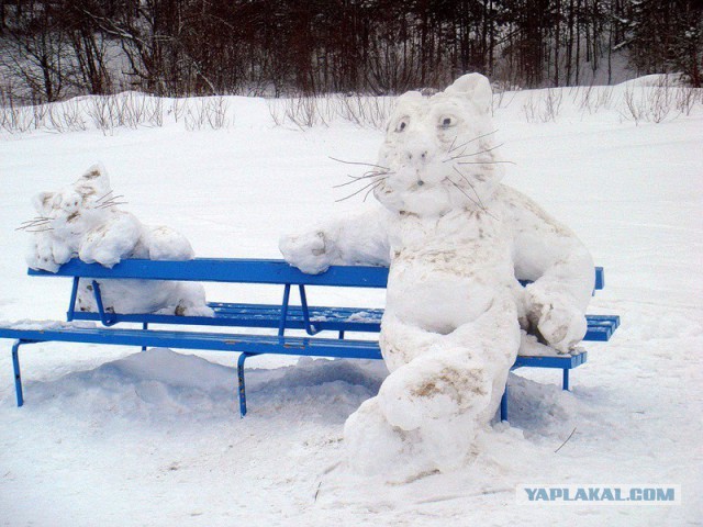 Картинки,гифки.