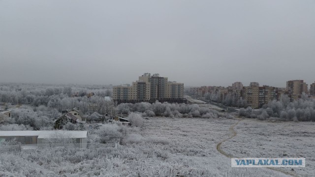 Белый Петергоф