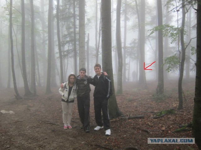 19 фотографий, где фон намного интересней переднего плана