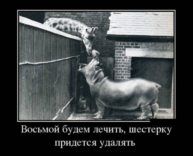 Смешные картинки с надписями