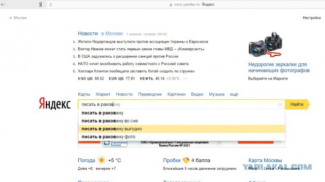 Засада, любимые! Что делать!?